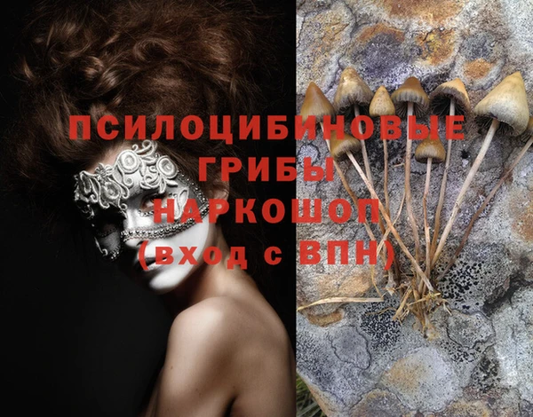 винт Надым