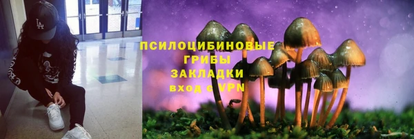 MESCALINE Михайлов