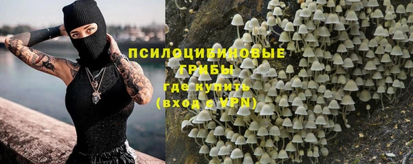 сатива Великий Новгород
