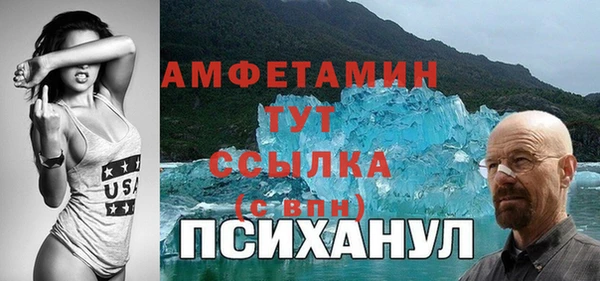 прущие грибы Балахна