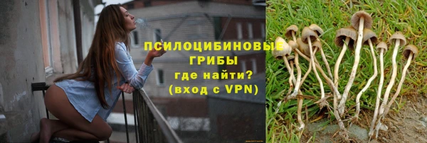 винт Надым