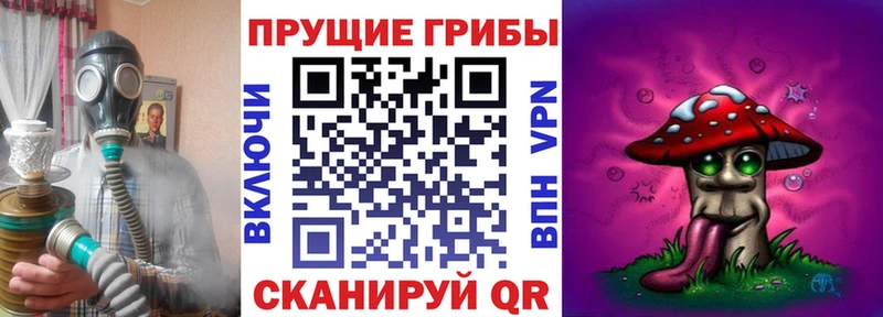 Псилоцибиновые грибы мухоморы купить наркотики цена Сердобск