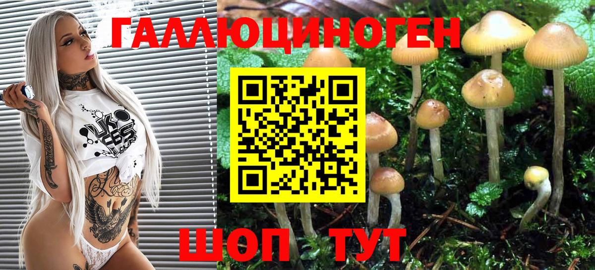 Галлюциногенные грибы прущие грибы  Сердобск 