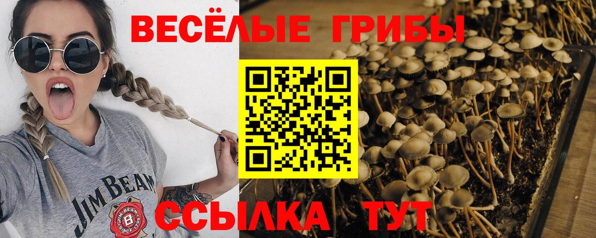Сердобск  Галлюциногенные грибы ЛСД  Галлюциногенные грибы мицелий  сколько стоит  Вход с VPN 