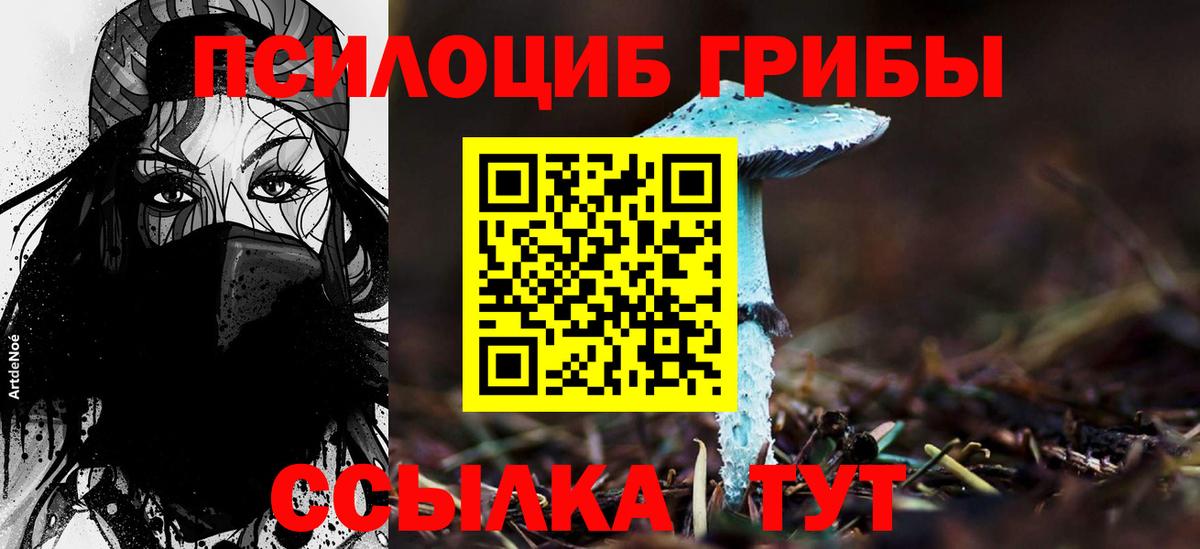 Галлюциногенные грибы ЛСД Сердобск